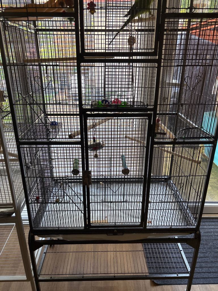 Parrot cage