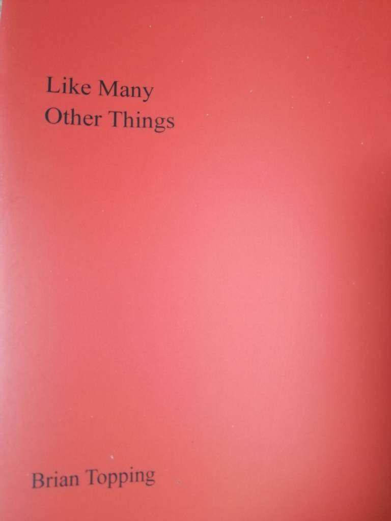 Like Many Other Things - Brian Topping - poetry volume