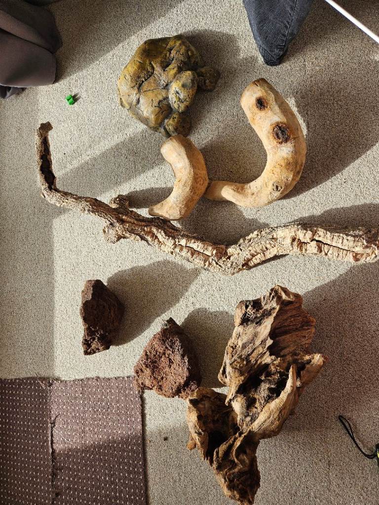 Treated vivarium decor bundle