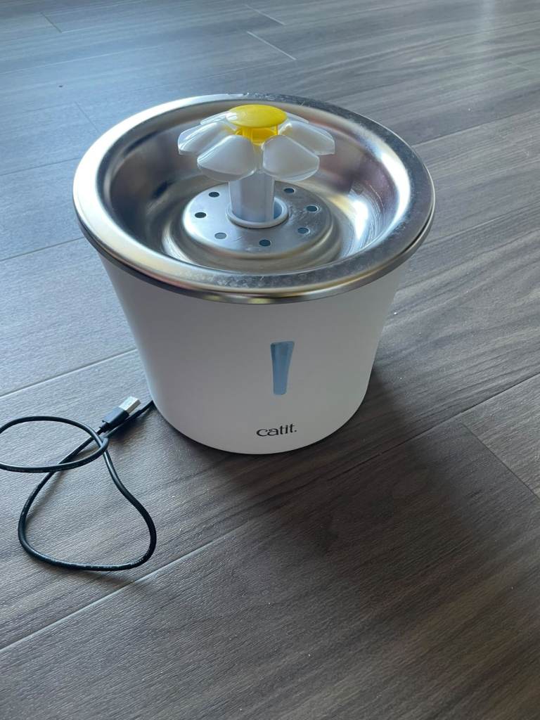 Cat drinking fountain