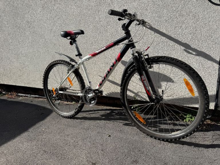 Boys 17” bike (free)