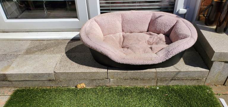 Large Dog Bed - - £10 - - -