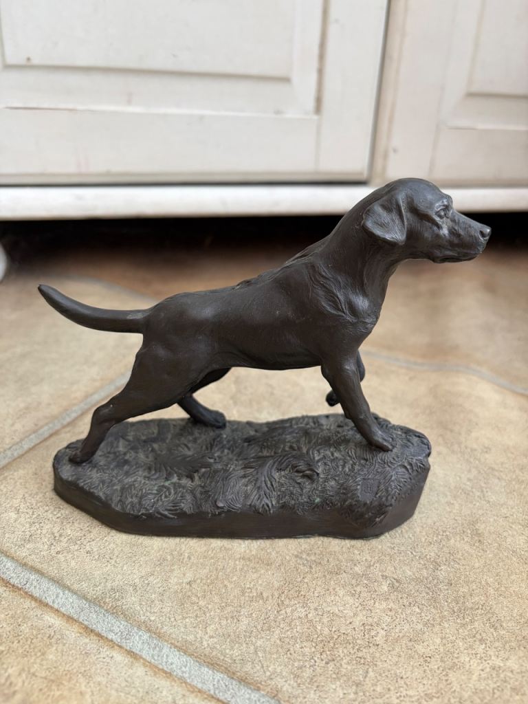 Heredities labrador