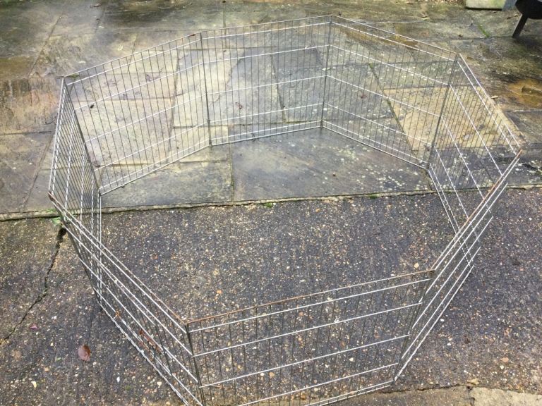 Animal crate/ divider dogs or rabbits.?