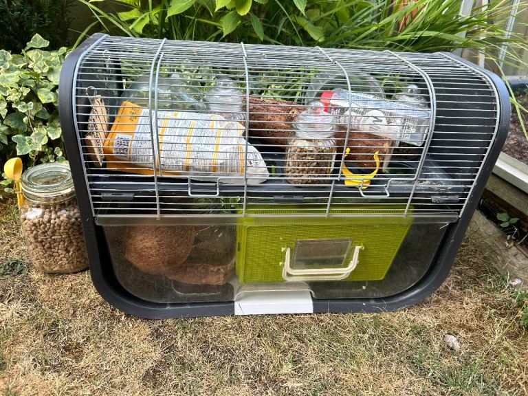 Gerbil or hamster cage 