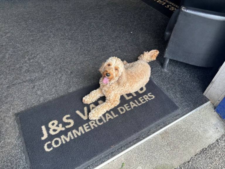 2020 20 MERCEDES-BENZ SPRINTER 516 CDI MINIBUS WHEEL CHAIR ACEESS TWIN WHEEL AUT