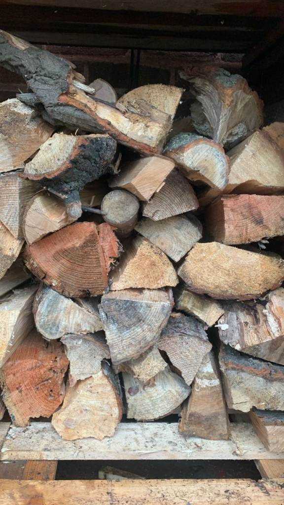 image for Dry hardwood logs