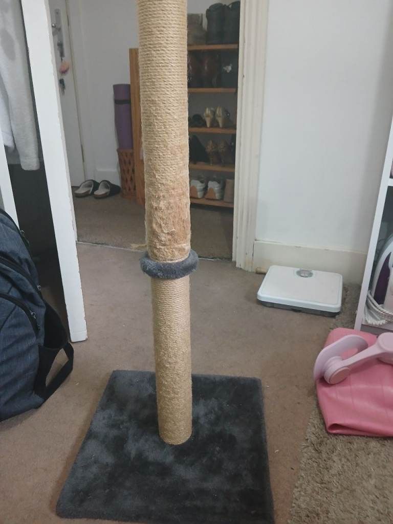 Scratchy Pole for Cats