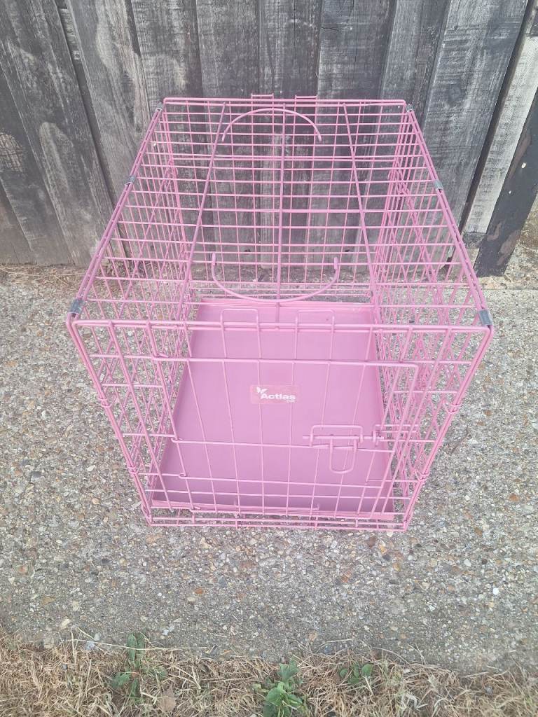 Actias Pink Pet dog crete for sale.