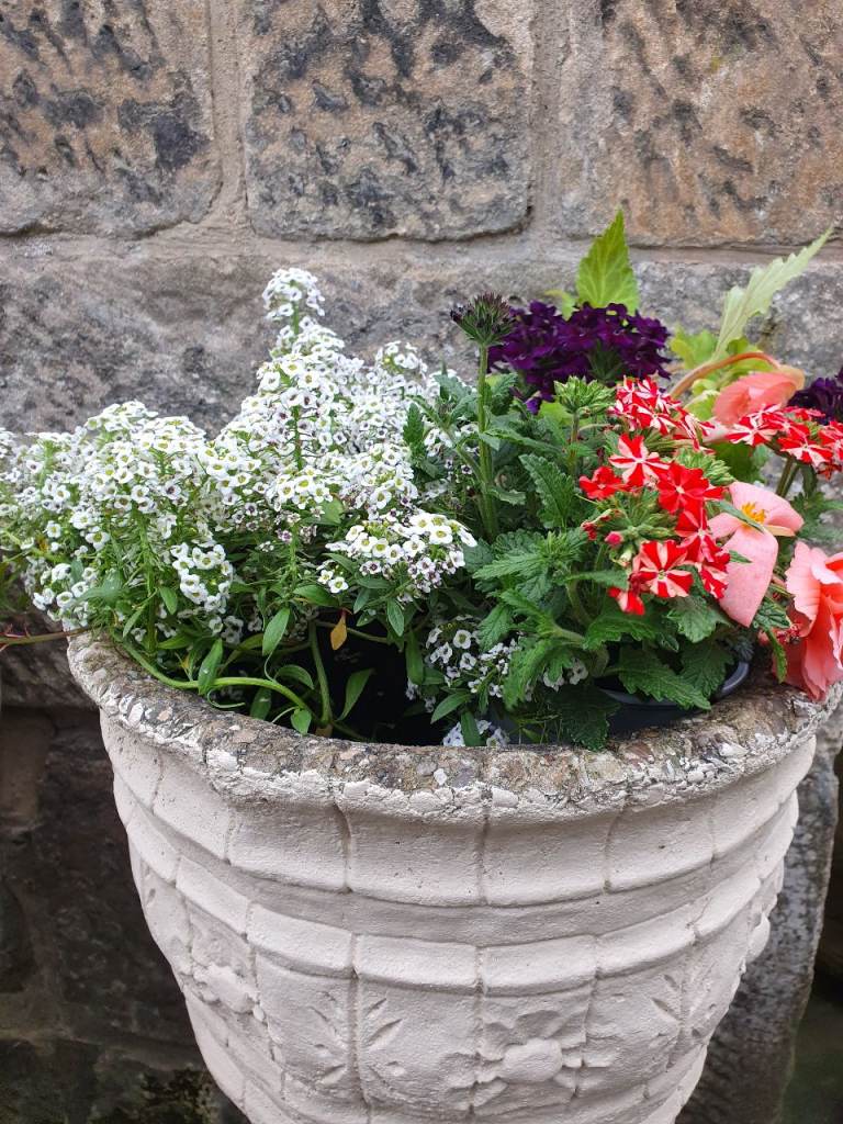 Large Cast Stone Planter Plant Pot Pair available D39cm 15in H29cm 11.5in