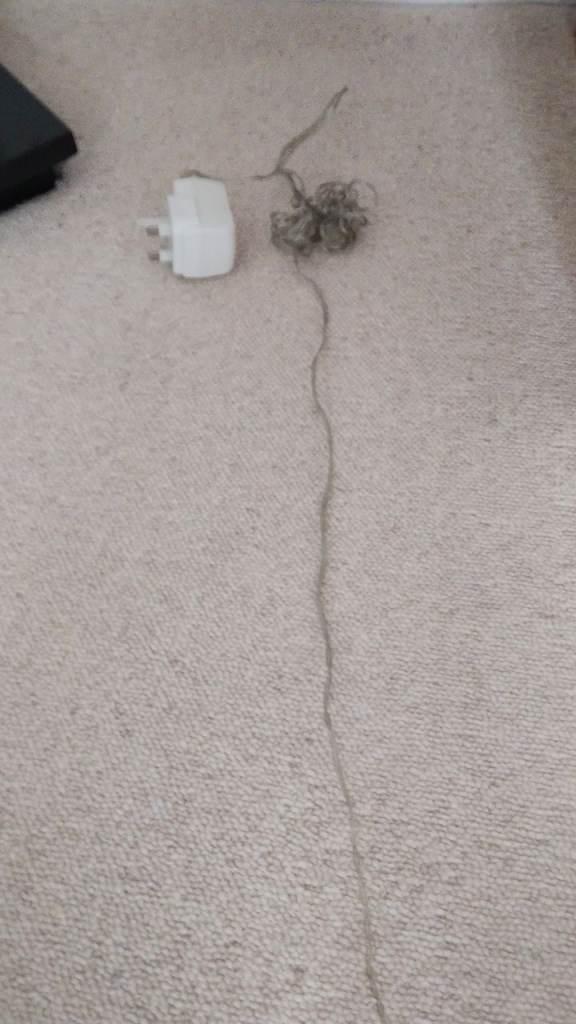 Mains decorative lights 