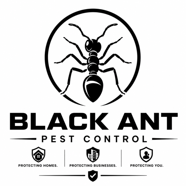 Black Ant Pest Control 🐜