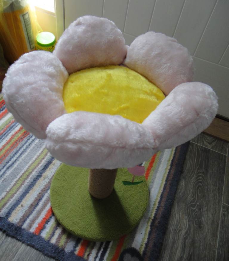 FOFOS PLUSH FLOWER SCRATCHING POST FOR SMALL CATS 