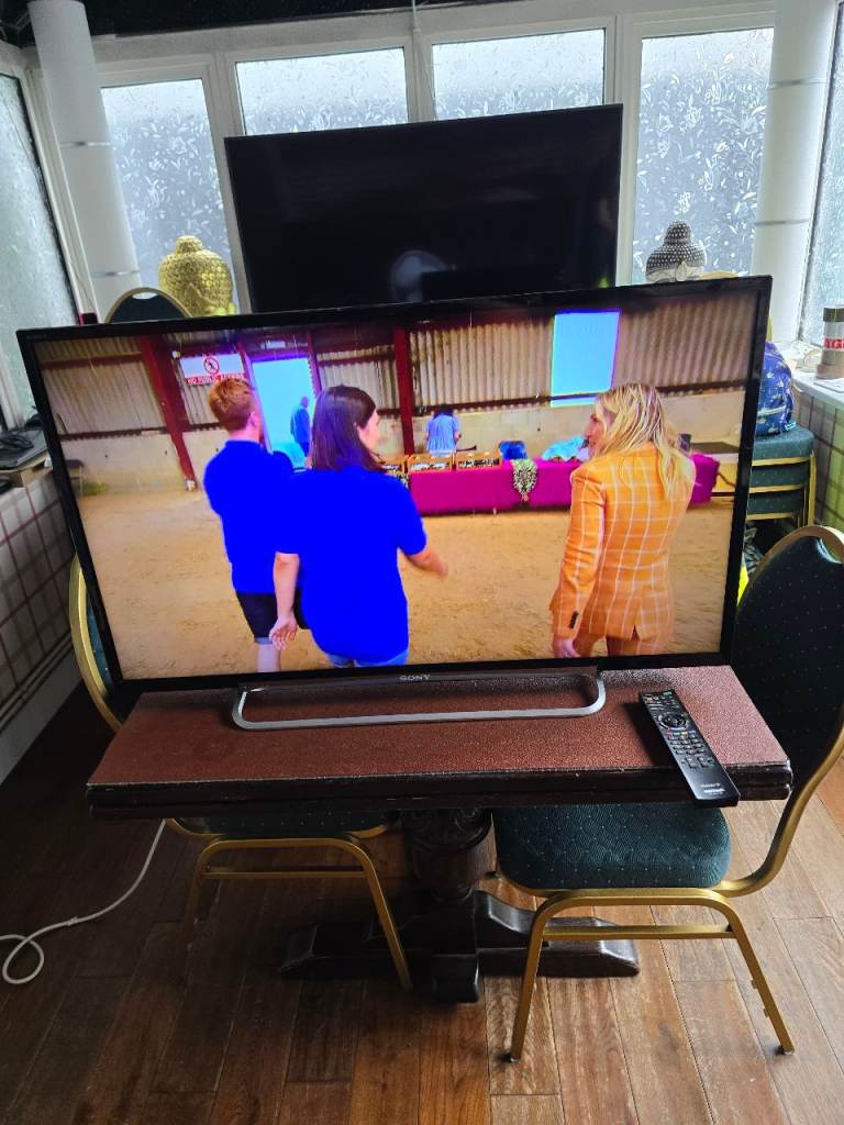 SONY 40" HD TV