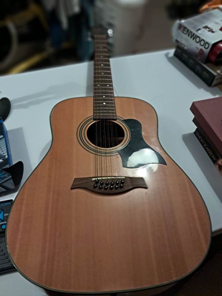 12 string Tanglewood