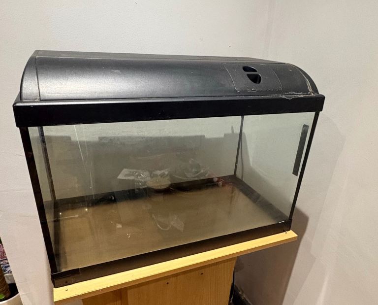 Fish tank with stand