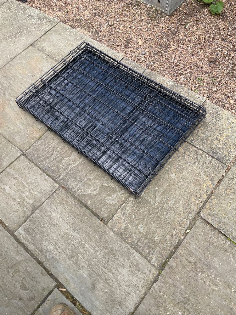 Black dog cage 