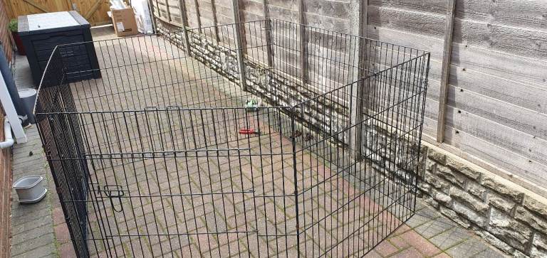 Dog pen 