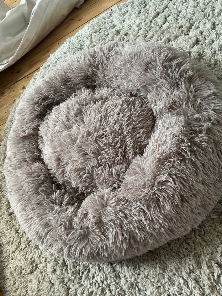 Medium dog bed