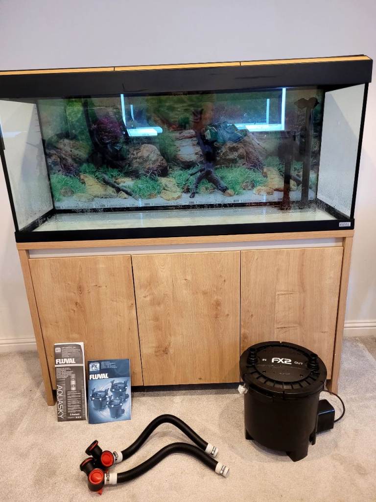 Fluval Roma 240L fish tank, aquarium