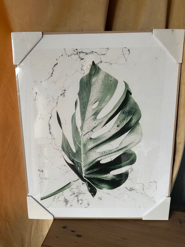 Orange Wallz Wet Leaf Print Picture Wooden Frame 40cm x 50cm new with wrap