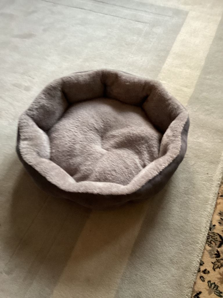 Dog bed