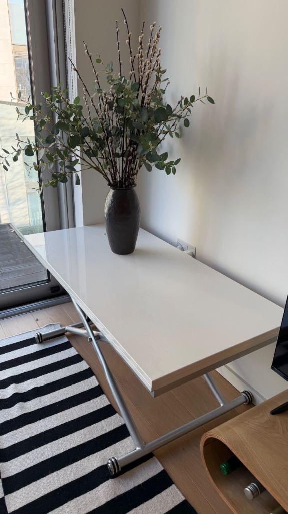 Adjustable Coffee and Dining Table