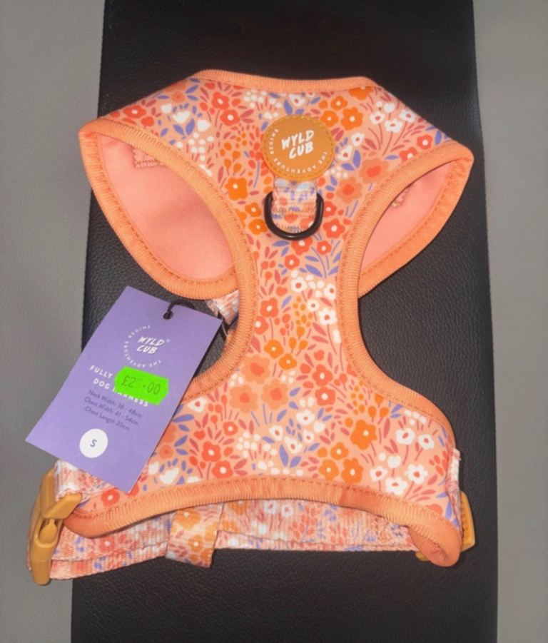 Dog Harness - Small - Orange 
