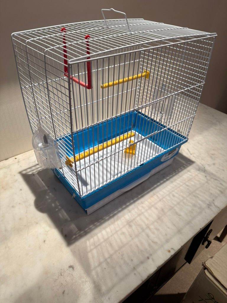 Small Bird Cage 