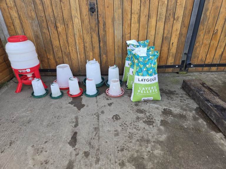 Chicken feeders and 3 bags of  feed
