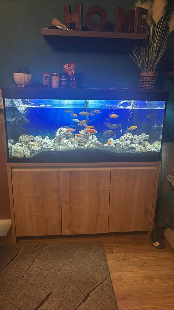 Fish tank 4ft