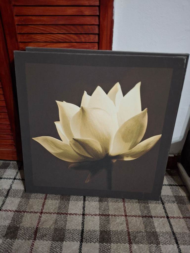 Canvas wall art