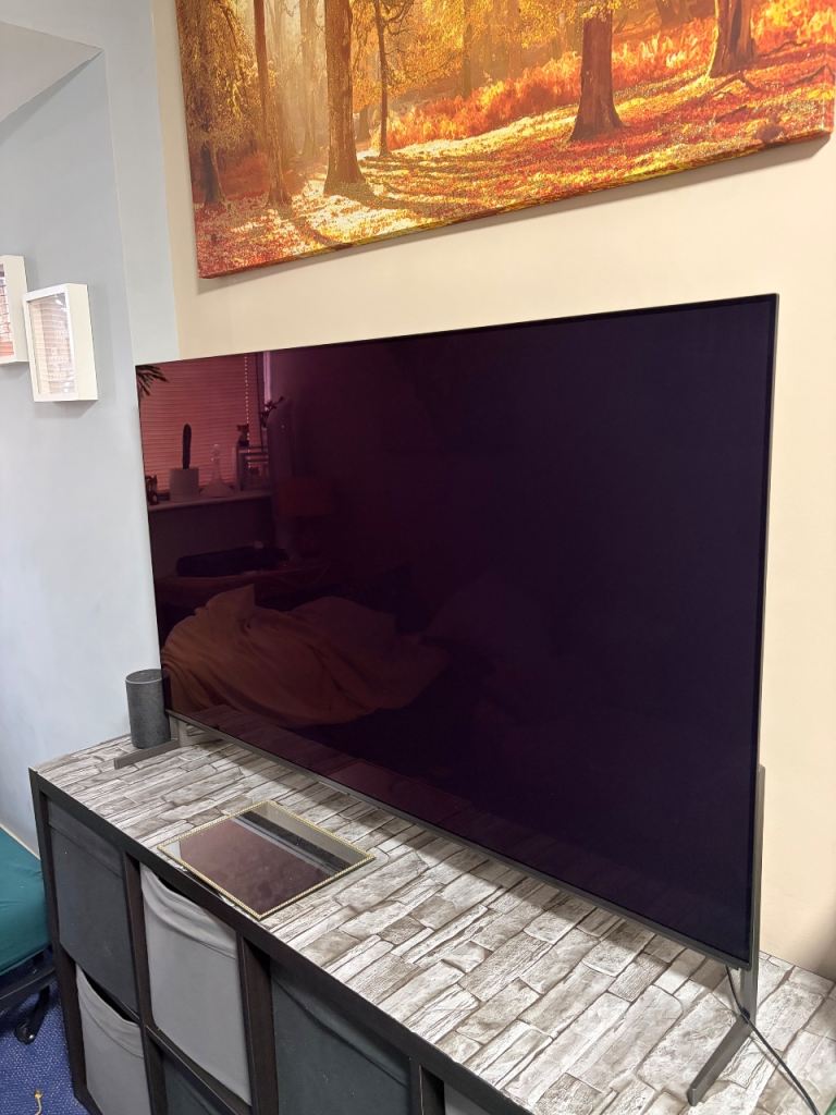 Sony BRAVIA XR8 M2 OLED TV - Excellent Condition