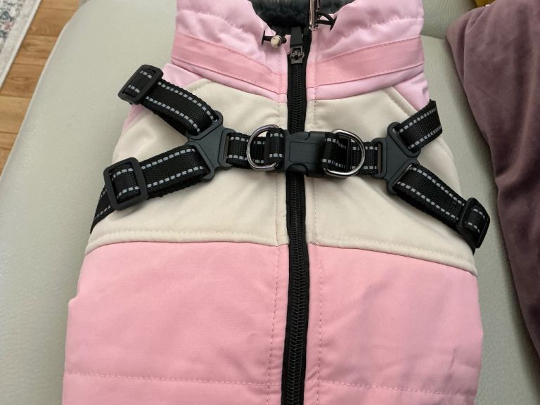 Small Dog Coat