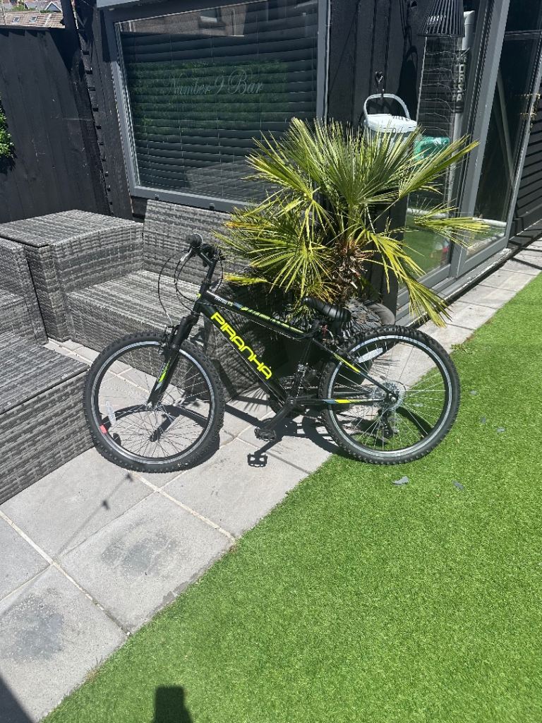 24 inch mountain bike brand new never used 