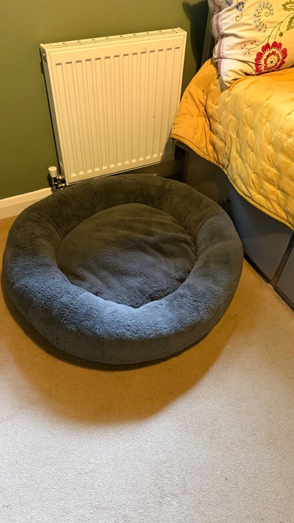 Dogs bed 