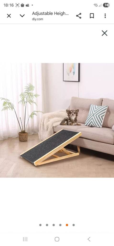 Indoor pet ramp £20