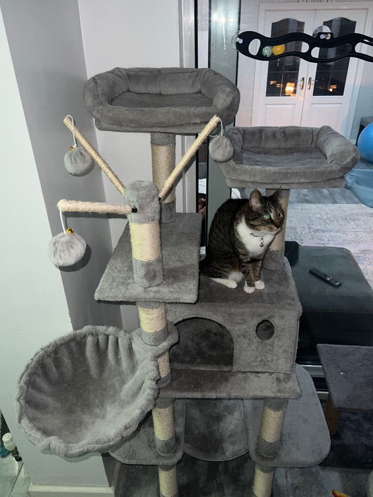 2x Cat trees 