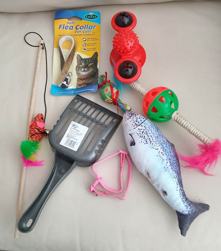 BRAND NEW KITTEN CAT STARTER KIT PACK 1