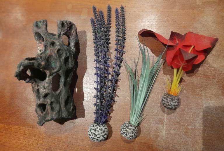 Set of 3 biorb plants and central bark