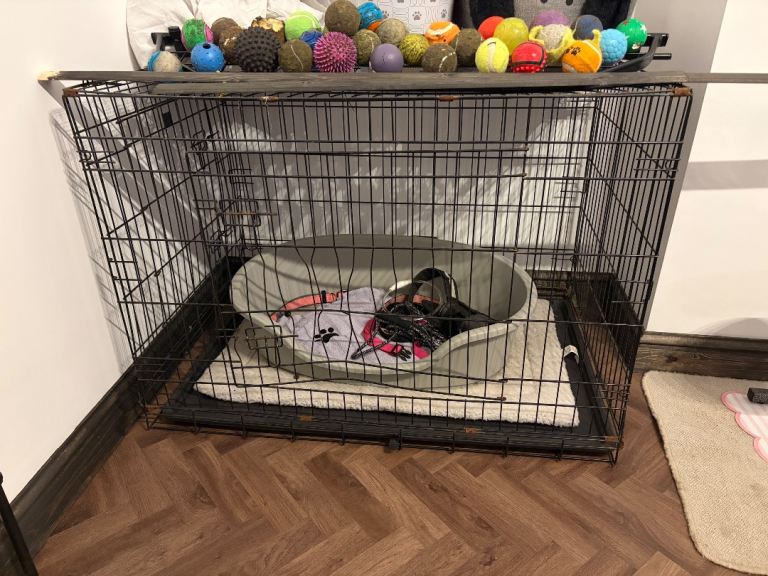 X-large dog crate 