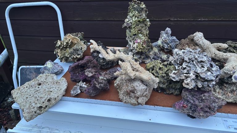 Marine Rock Live Rock Decoration Aquarium Craft Landscape Reef Marine 