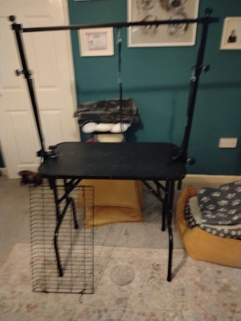 Dog grooming table b