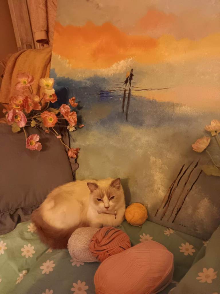Ragdoll girl for sale.