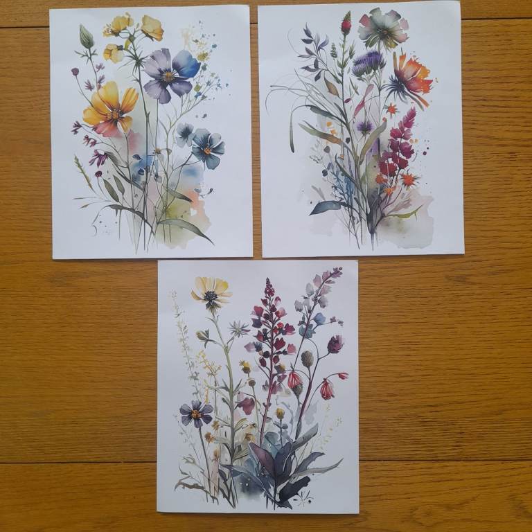 Wall Art Prints from water colour paintings 