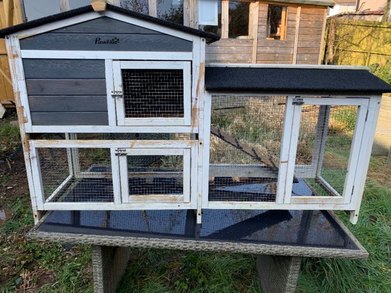 Guinea Pig or Rabbit hutch outdoor