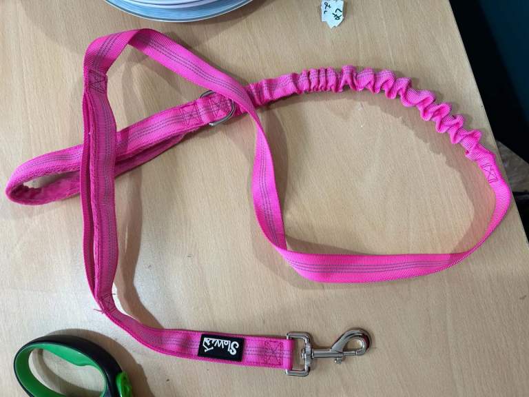 Dog Lead