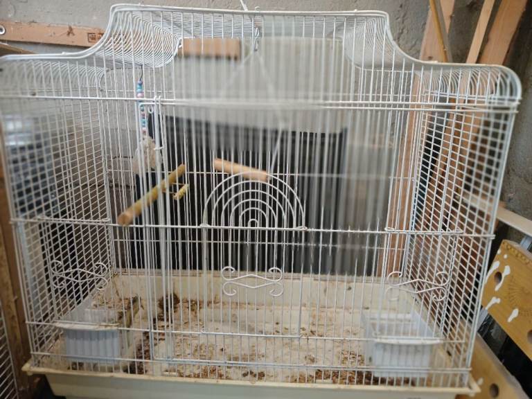 Bird cage in white