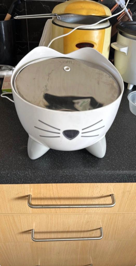 cat water fountain