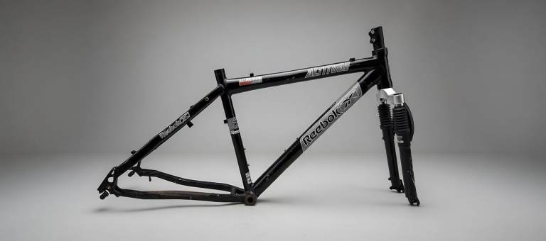 Bike Frame & Forks.(18 Inch. )t
